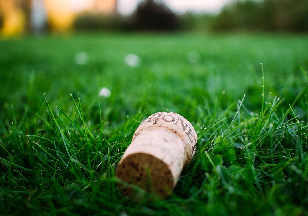 Champagne Cork Lying on Grass in Natural Setting - Free Images, Stock Photos and Pictures on Pikwizard.com