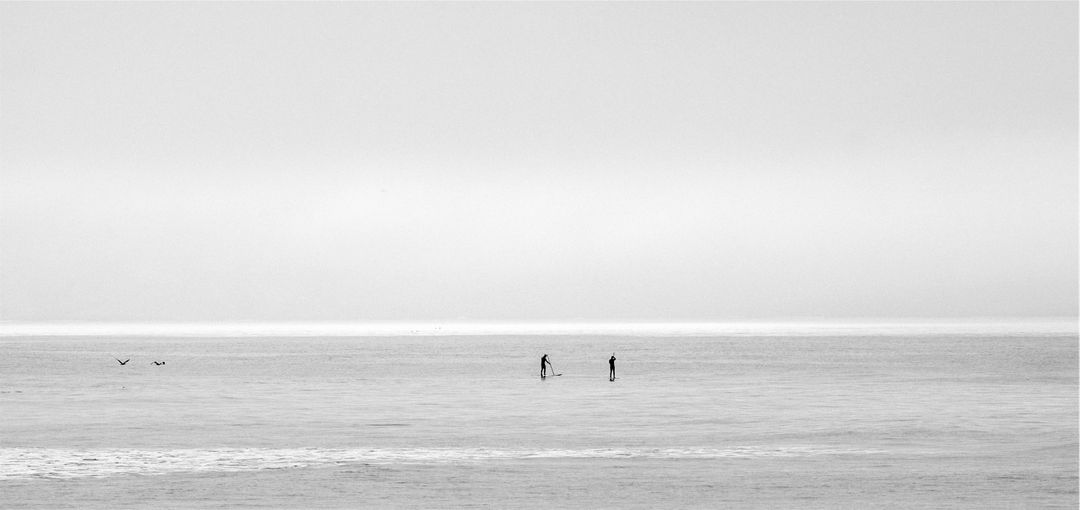 Two People Paddleboarding on Calm Sea in Black and White - Free Images, Stock Photos and Pictures on Pikwizard.com