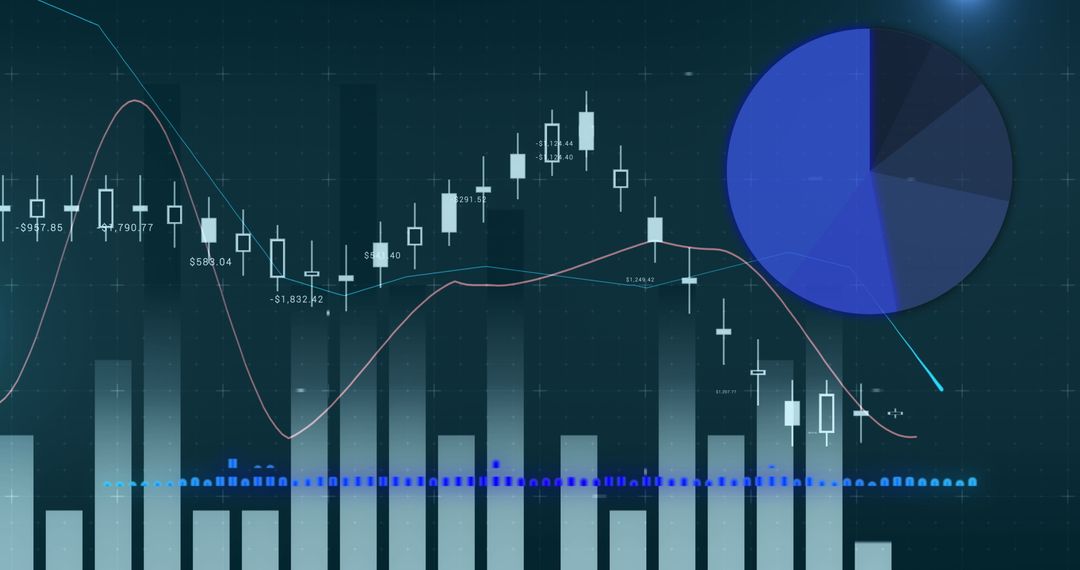 Digital Visualization of Financial and Statistical Data