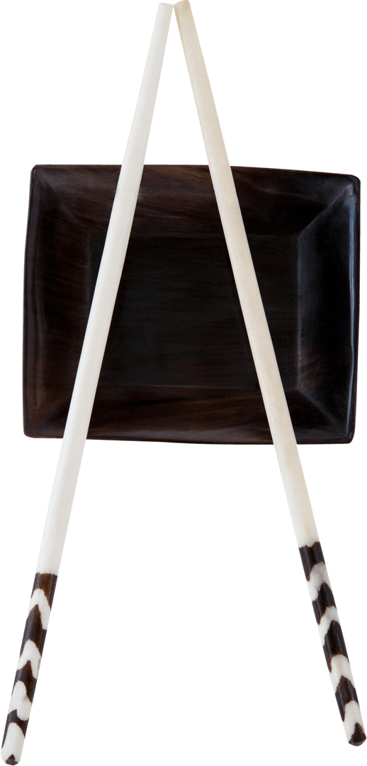 Transparent Chopsticks on Tray Designed Plate