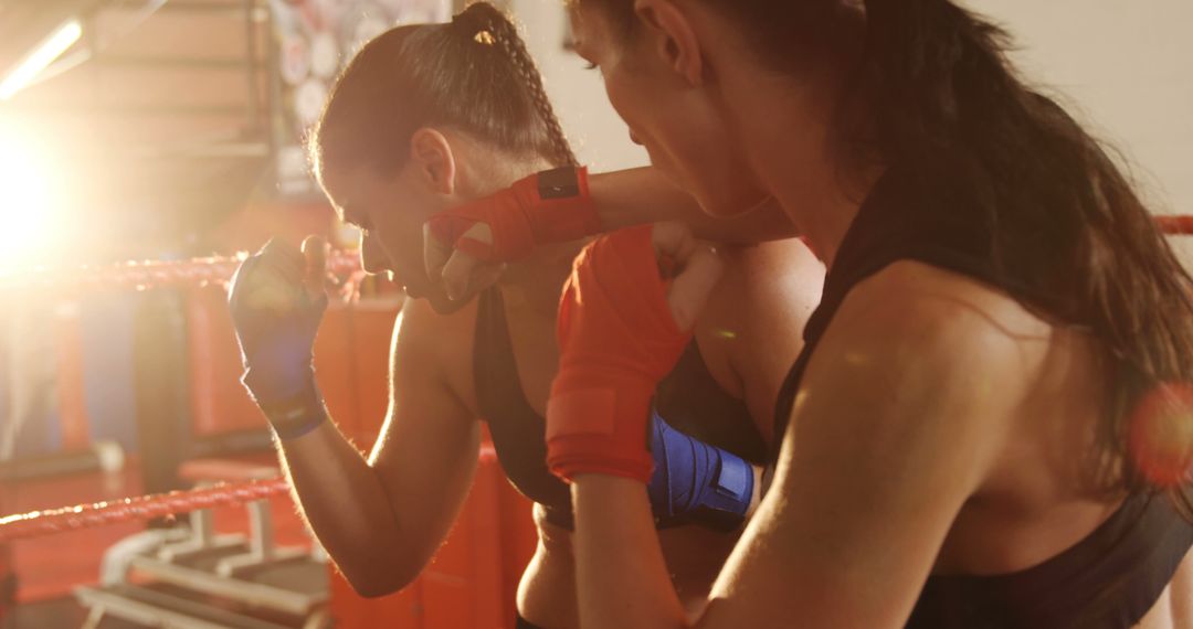 Female Boxers Practicing in Boxing Ring - Free Images, Stock Photos and Pictures on Pikwizard.com