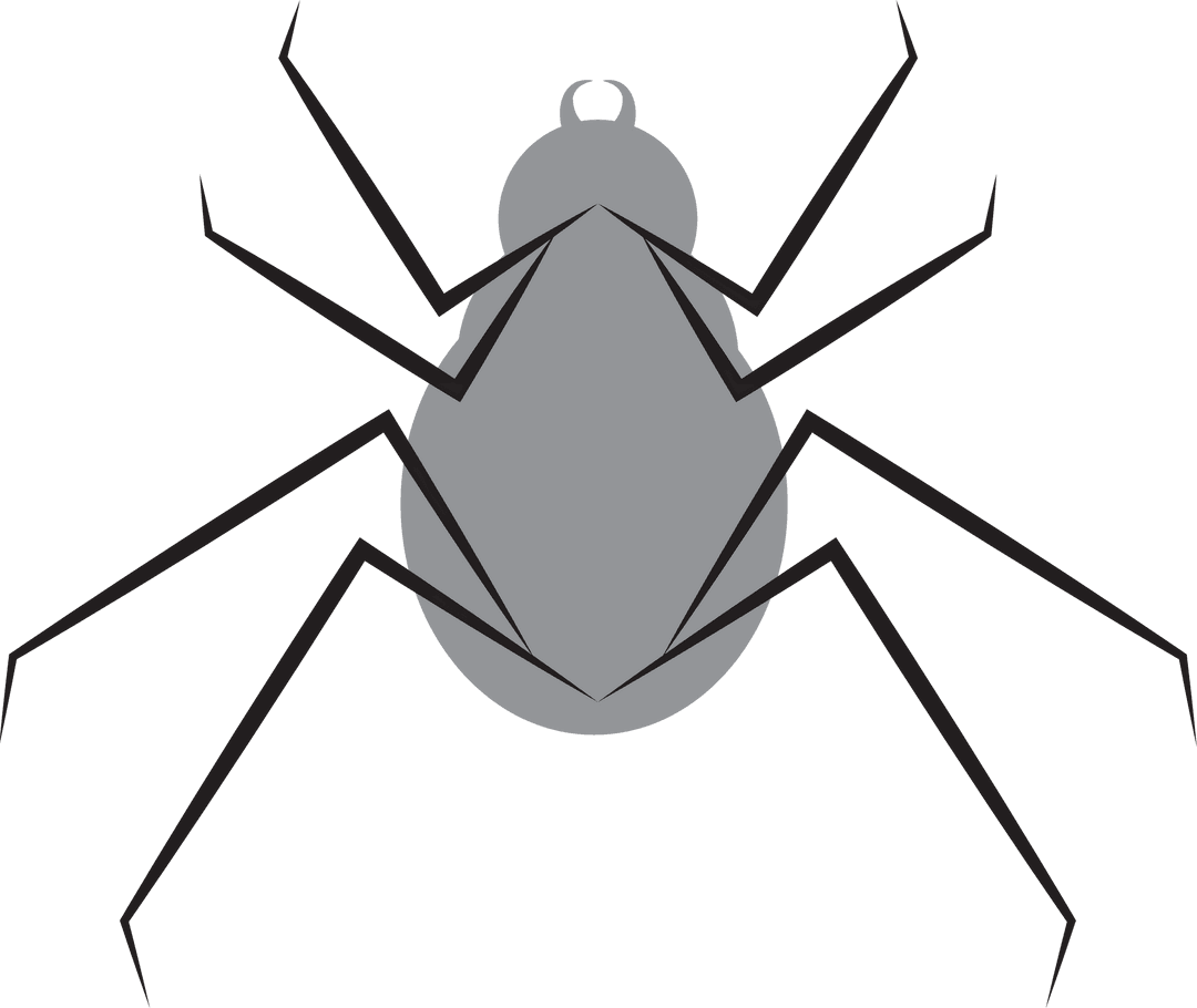 Digital Gray Spider Illustration on Transparent Background
