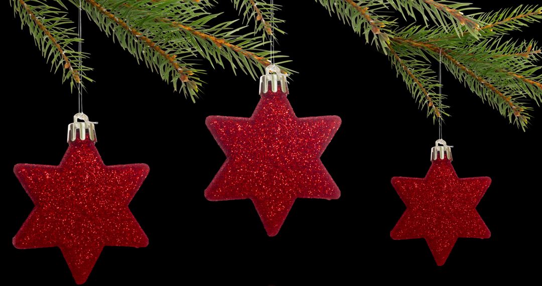 Red Star Ornaments Hanging from Evergreen Tree Branches Against Black