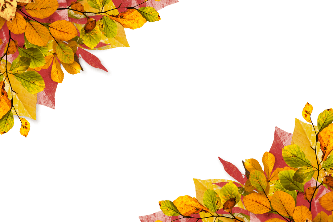 Vibrant Autumn Leaves Frame on Transparent Background