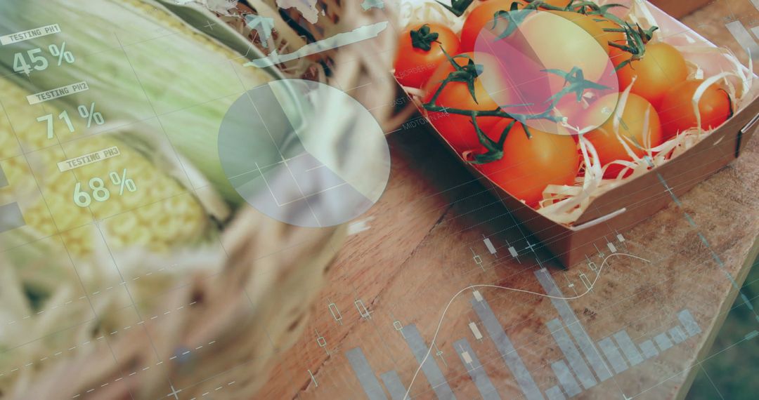 Vine Tomatoes with Digital Data Overlay: Market and Analytics Concept