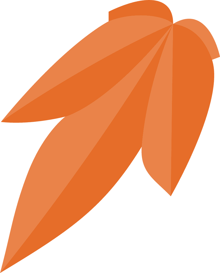 Dynamic Abstract Orange Petal Design on Transparent Background