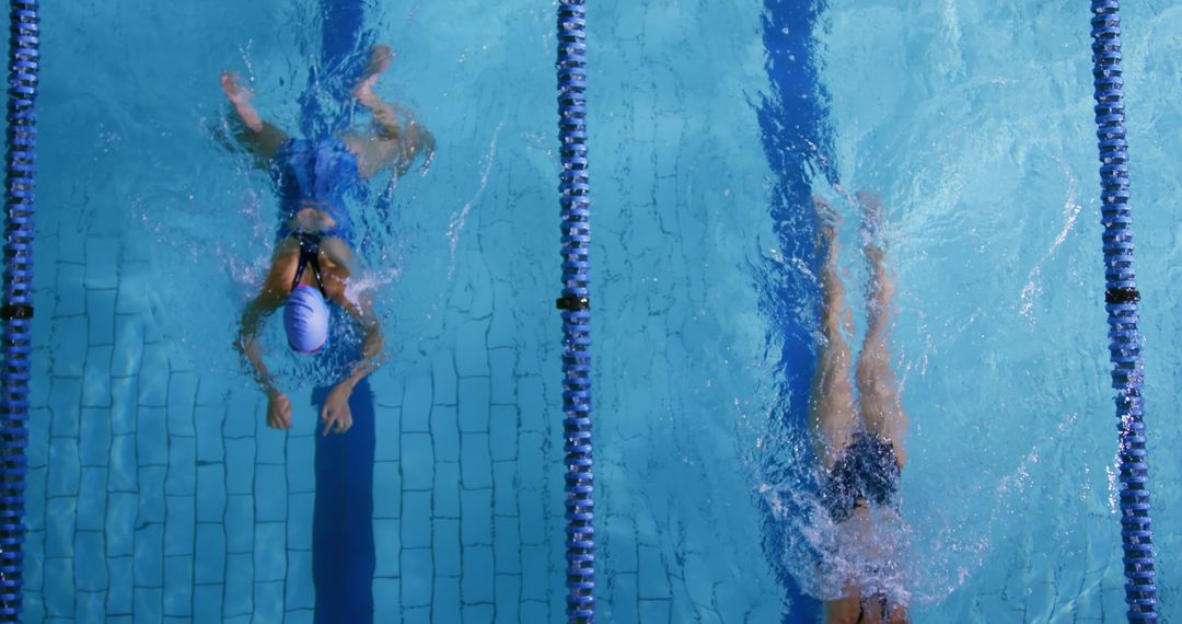 Competitive Swimmers in Pool Practicing Backstroke - Free Images, Stock Photos and Pictures on Pikwizard.com