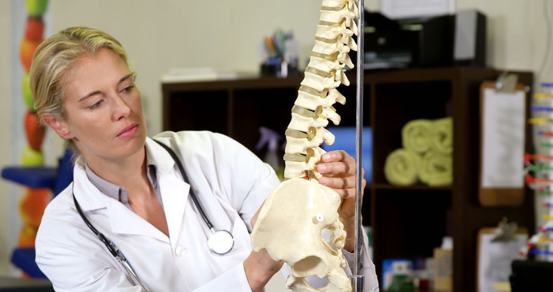 Female Doctor Examining Human Spine Model in Medical Office - Free Images, Stock Photos and Pictures on Pikwizard.com