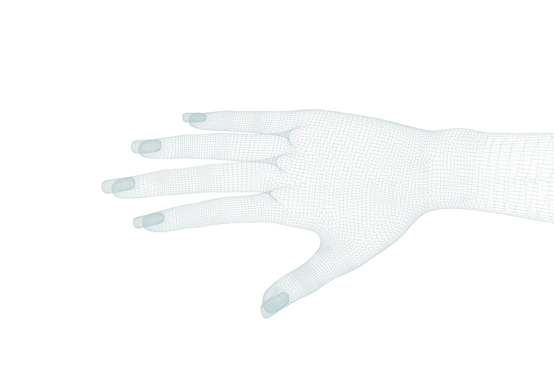 Transparent 3D Wireframe Hand Diagram