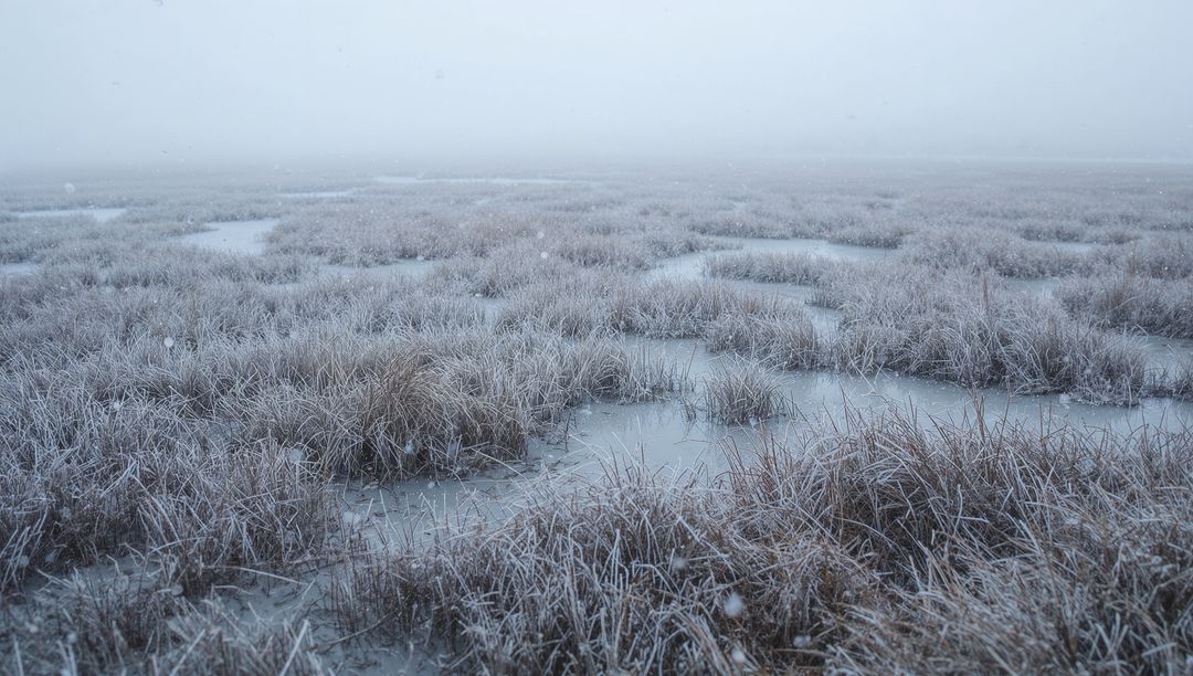 Mist-shrouded frosted marsh with icy pools and falling snowflakes, tranquil winter wetland