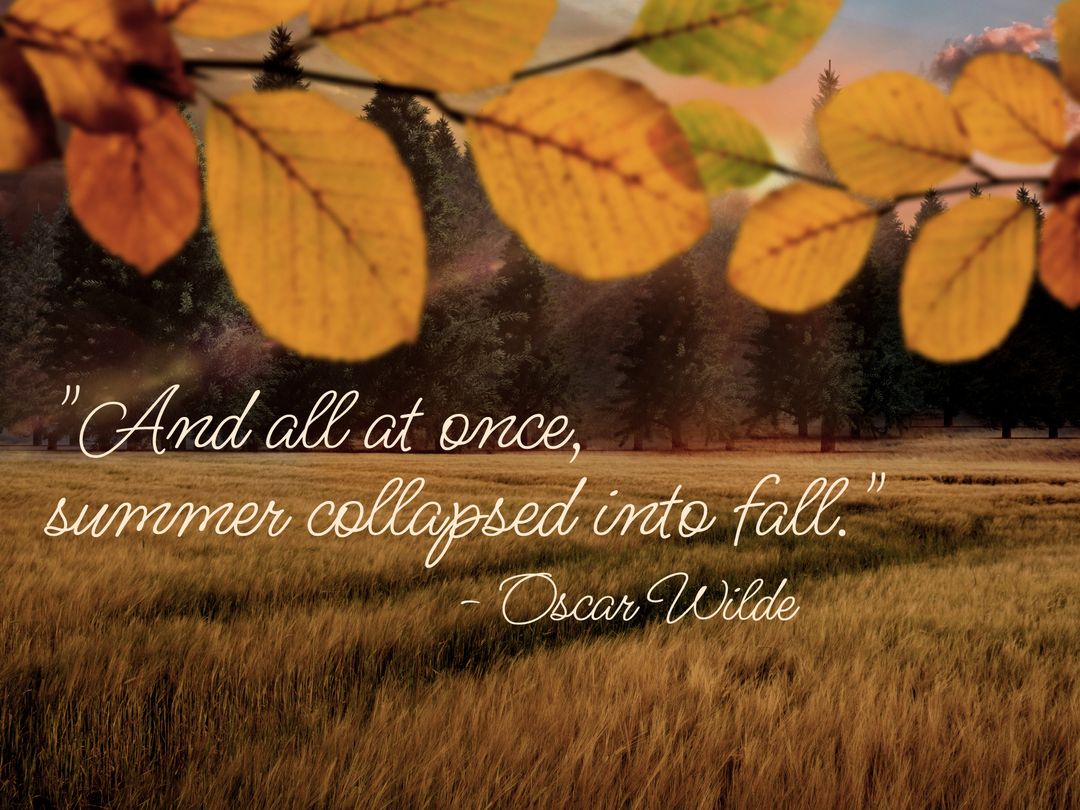 Autumn Leaves Over Meadow with Oscar Wilde Quote on Seasonal Transition - Download Free Stock Templates Pikwizard.com