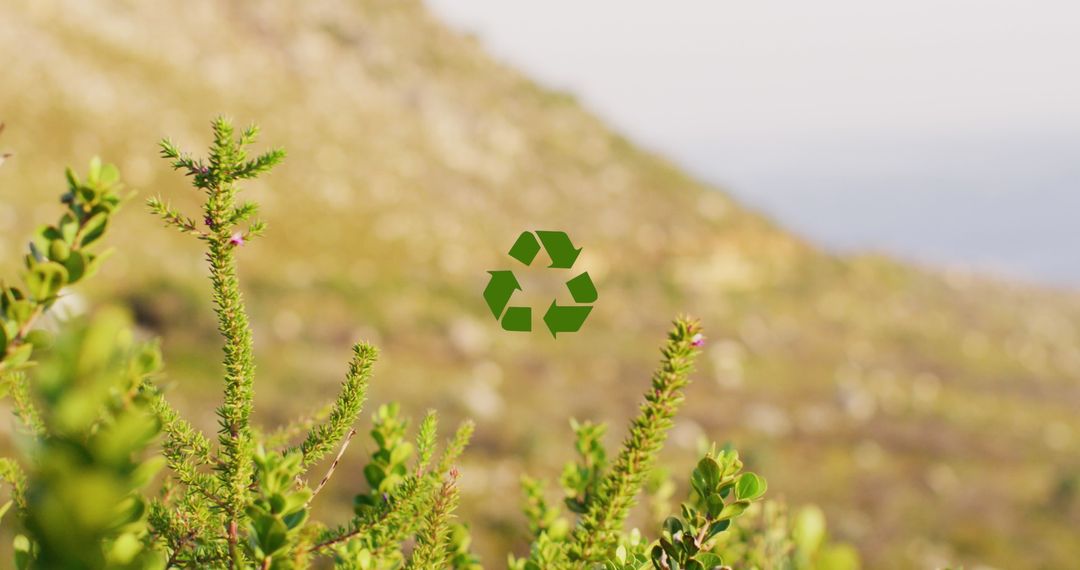 Sustainable Future Concepts Merging Nature and Recycling Symbol
