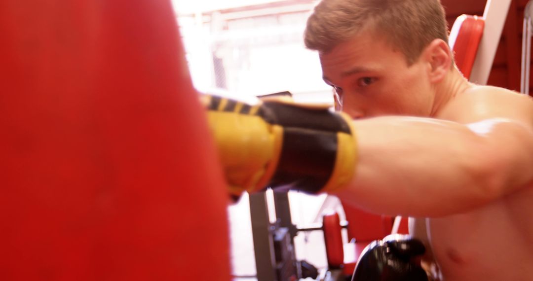 Focused Boxer Training with Punching Bag in Gym - Free Images, Stock Photos and Pictures on Pikwizard.com