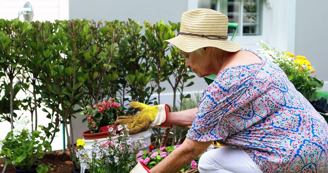 Senior Woman Gardening Outdoors in Summer - Free Images, Stock Photos and Pictures on Pikwizard.com