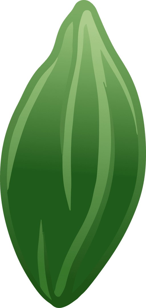 Minimal Green Leaf Botanical Illustration Transparent Background