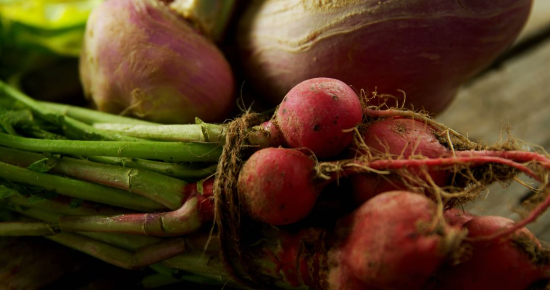 Fresh Organic Radishes and Turnips Close-Up - Free Images, Stock Photos and Pictures on Pikwizard.com