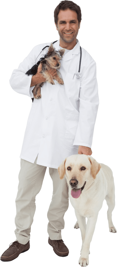 Smiling Veterinarian Holding Dog and Puppy on Transparent Background