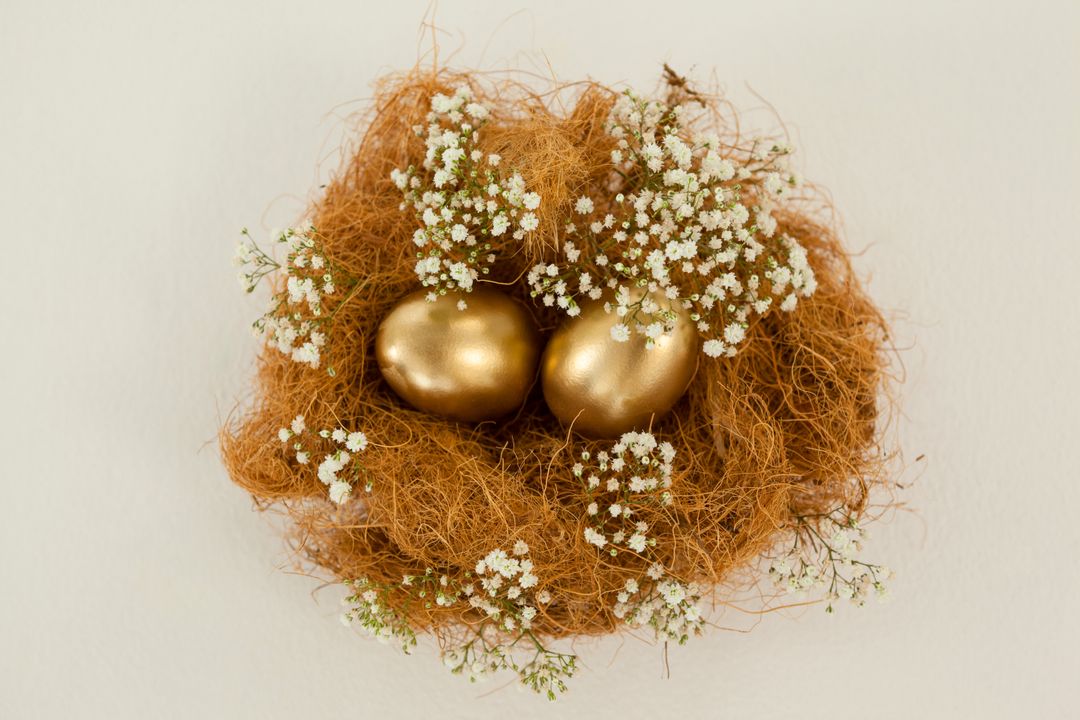 Golden Easter Eggs in Nest with White Flowers - Free Images, Stock Photos and Pictures on Pikwizard.com