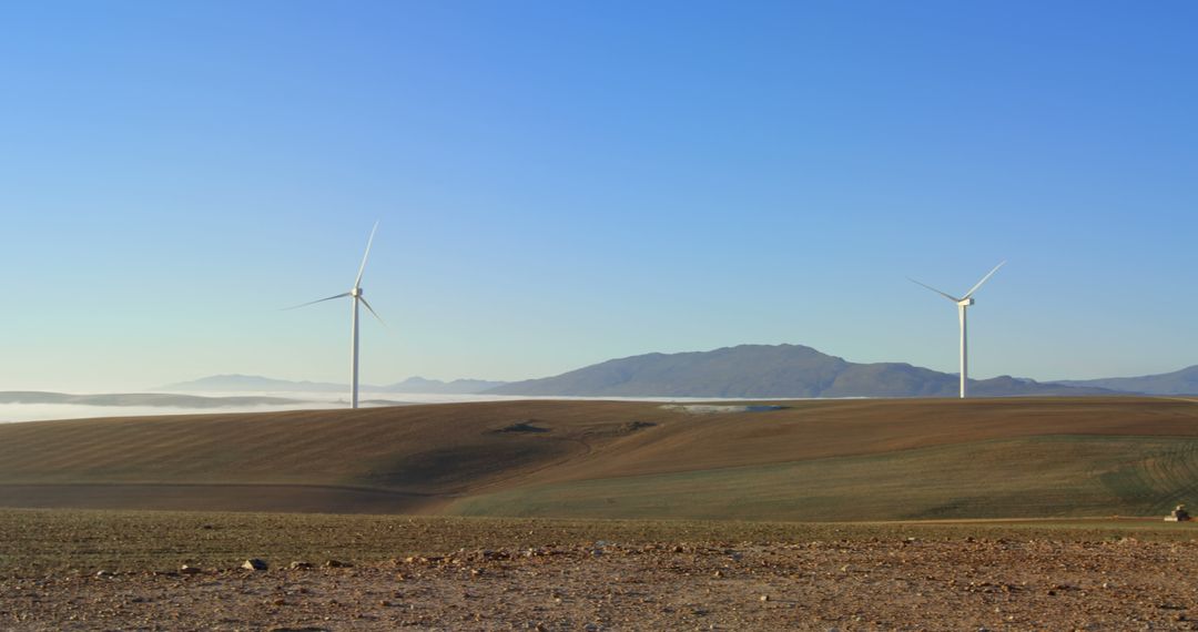 Wind Turbines on Sunny Farm Landscape with Clear Sky