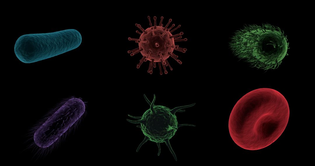 Microscopic View of Virus Cells and Bacteria on Dark Background
