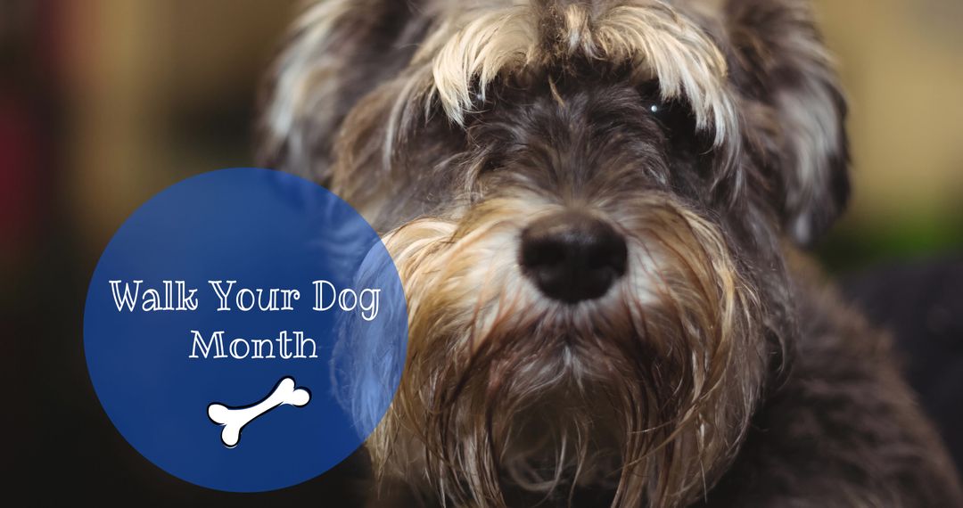 Celebrating Walk Your Dog Month with Cute Terrier Portrait