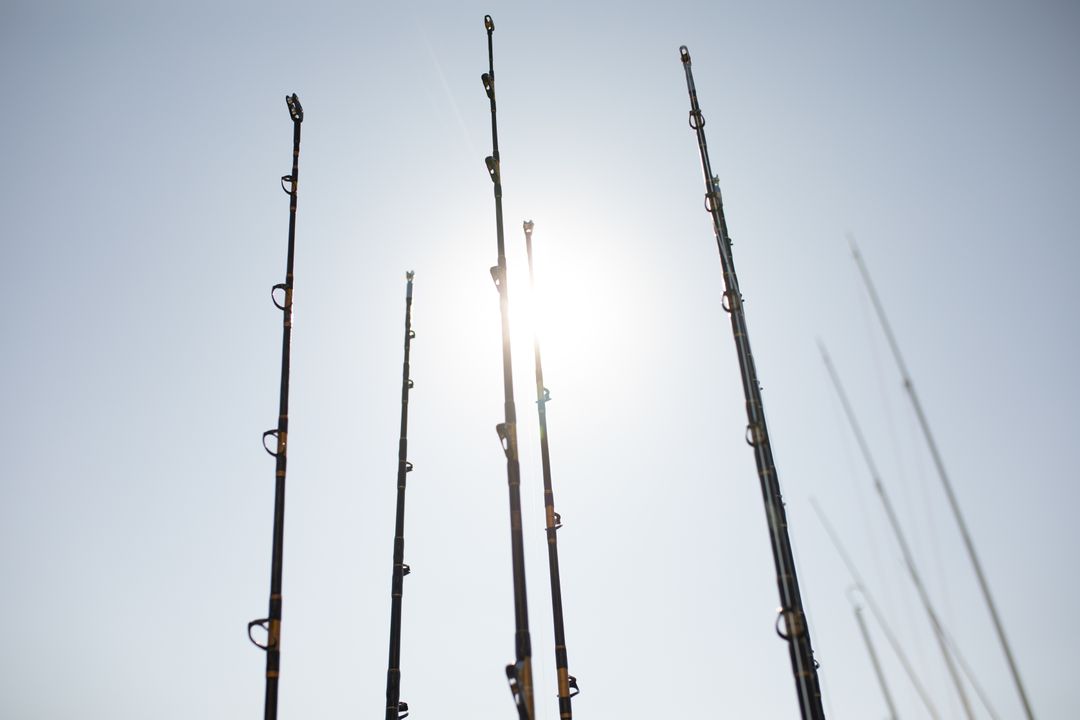 View of fishing rods on a sunny day - Free Images, Stock Photos and Pictures on Pikwizard.com