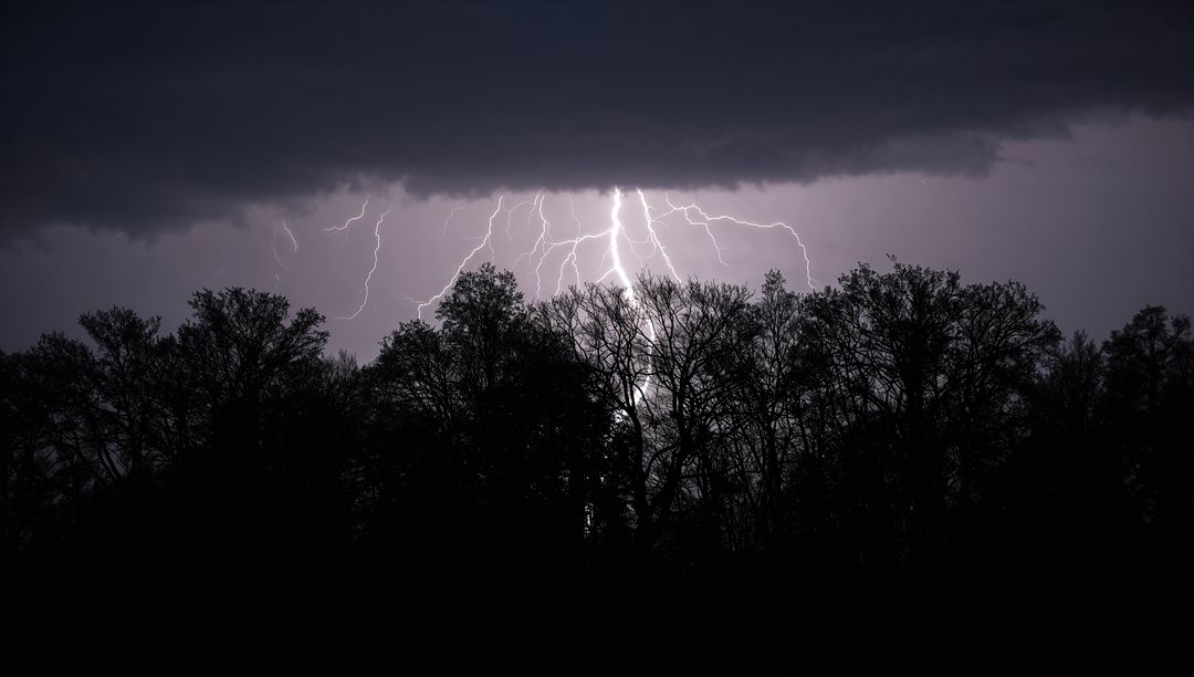 Dramatic Lightning Strikes over Silhouetted Forest at Night