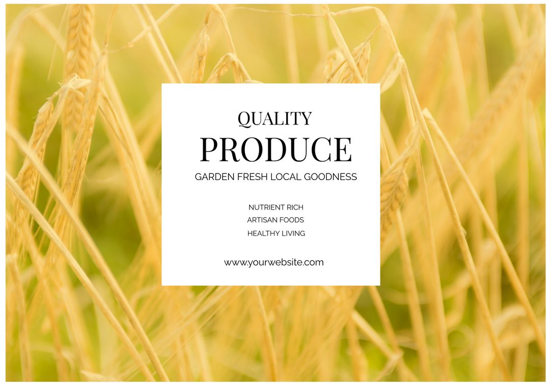 Golden Wheat Fields Highlighting Organic Farming