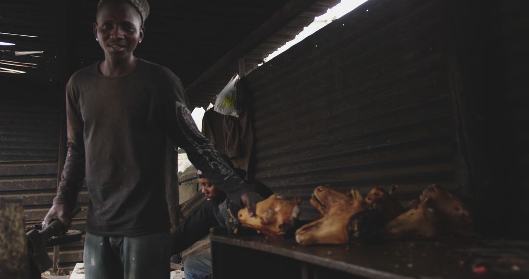 African Man Working in Butcher Stall with Pig Heads - Free Images, Stock Photos and Pictures on Pikwizard.com