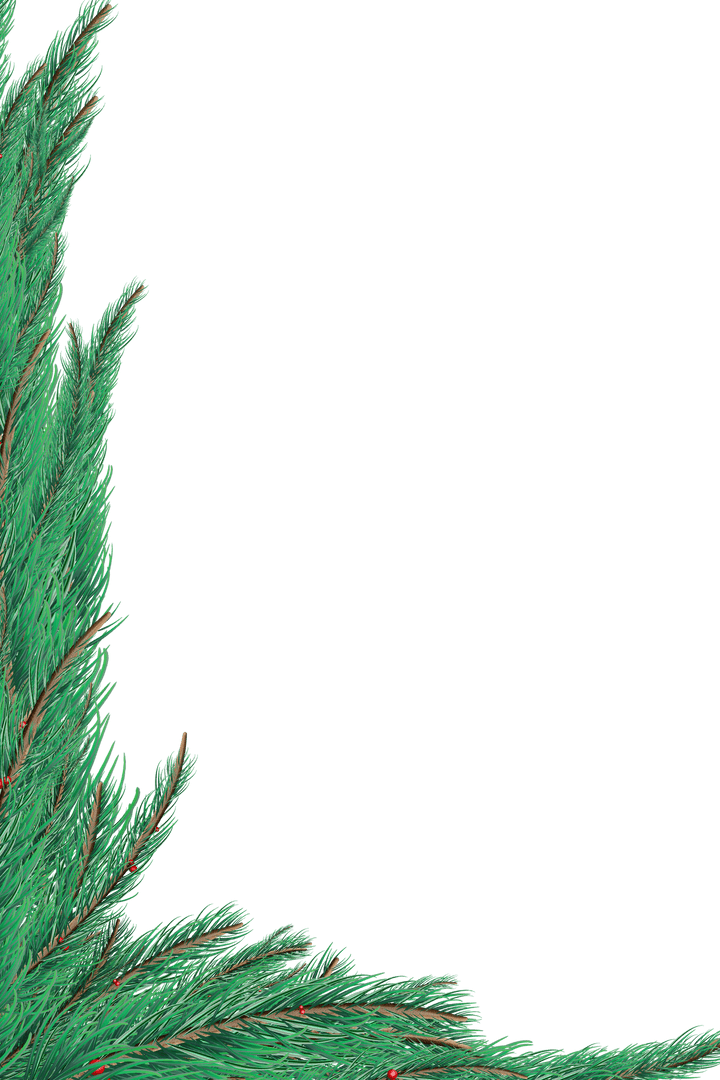 Transparent Fir Tree Branch Frame Nature Background