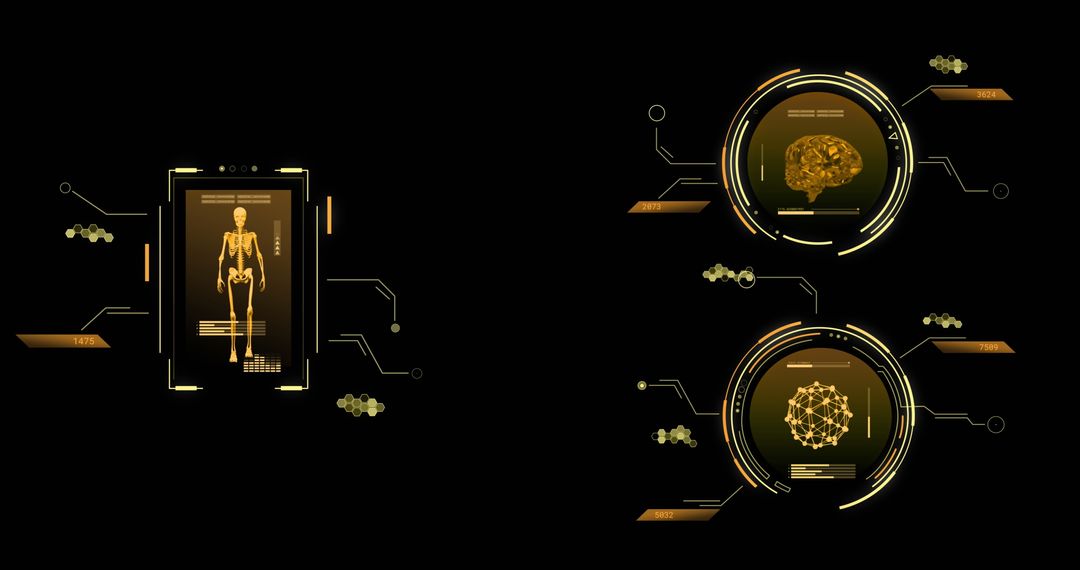 Futuristic Scientific Data Interface Digital Display