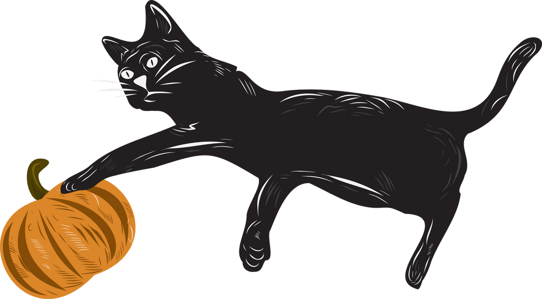 Black Cat with Orange Pumpkin Illustration Transparent Background
