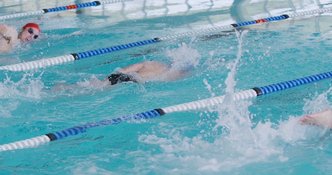 Competitive Swim Meet with Racers in Action in Lane - Free Images, Stock Photos and Pictures on Pikwizard.com