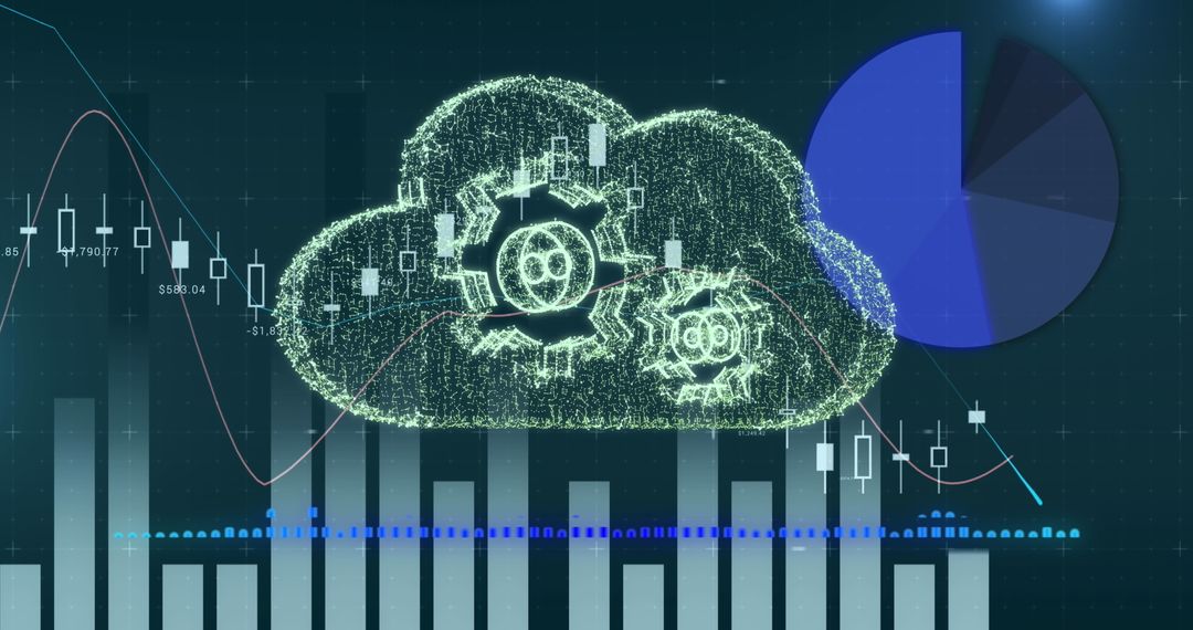 Financial Data Processing in Digital Cloud Environment