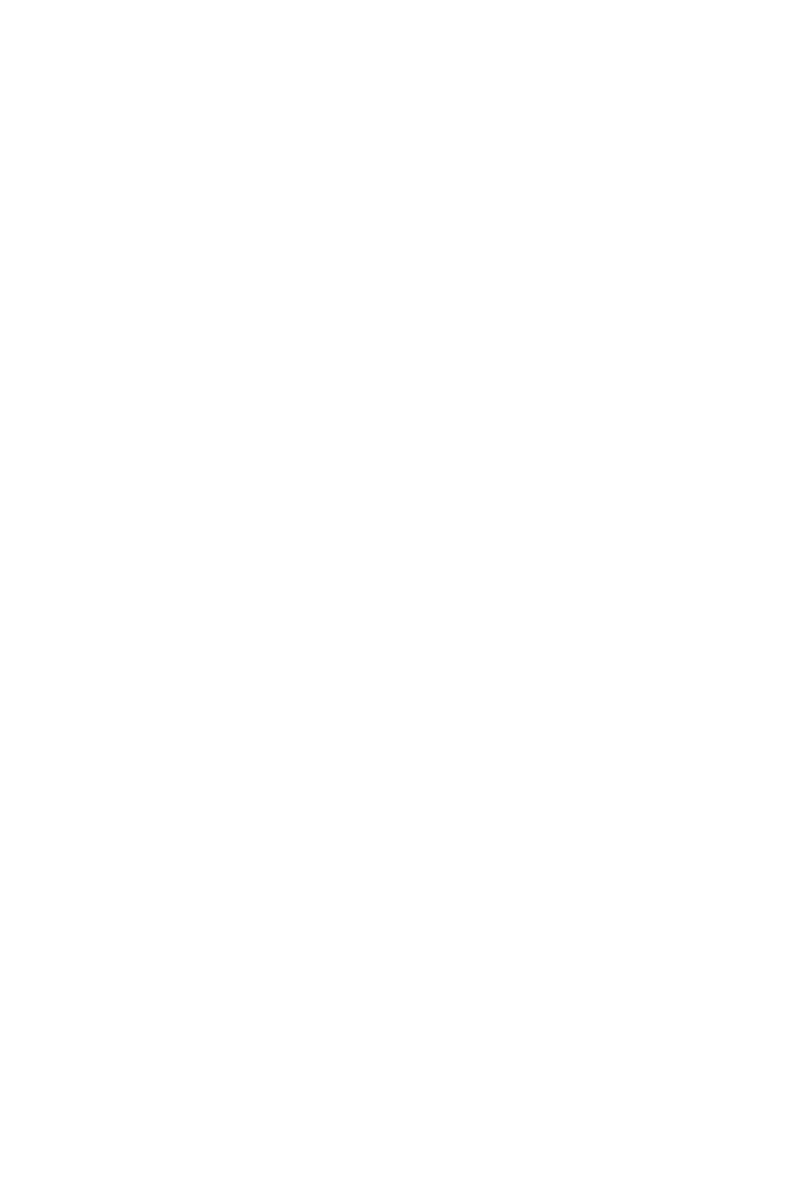 Transparent silhouette of woman drinking water bottle isolated on white - Download Free Stock Images Pikwizard.com