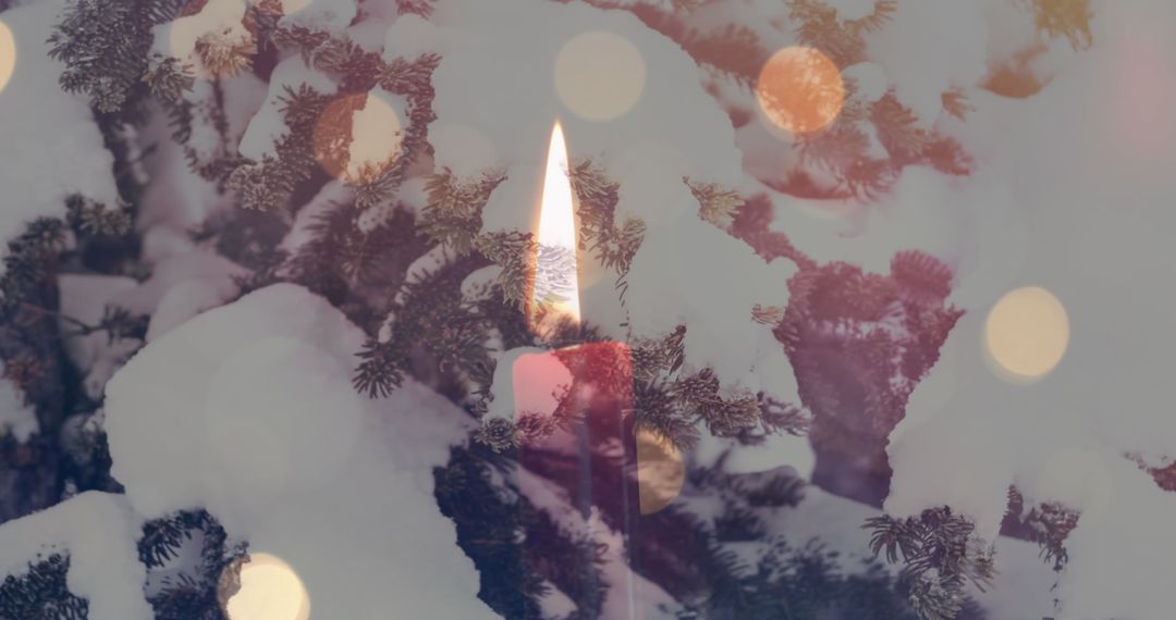 Winter Candlelight on Snow-Covered Fir Trees