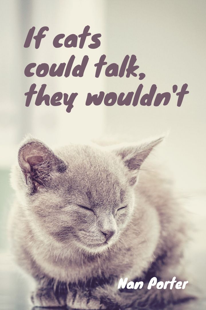 Peaceful Sleeping Cat with Humorous Quote Overlay
