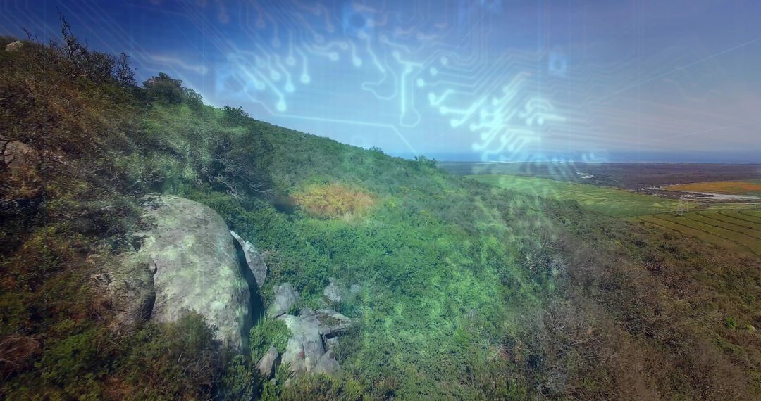 Nature Meets Technology: Conceptual Circuitry Overlay on Hillside