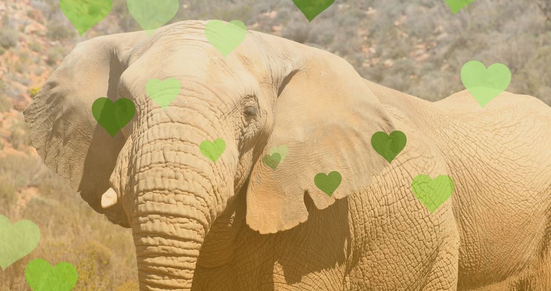 Elephant in safari habitat surrounded by green heart graphics