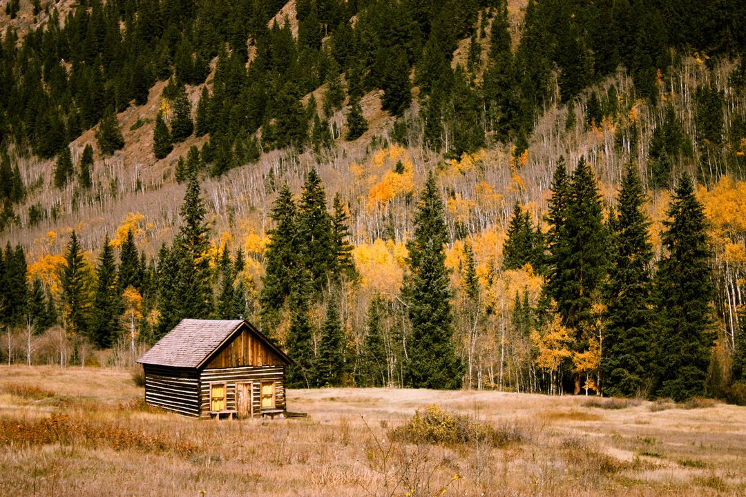 Isolated Rustic Cabin in Autumn Landscape - Free Images, Stock Photos and Pictures on Pikwizard.com