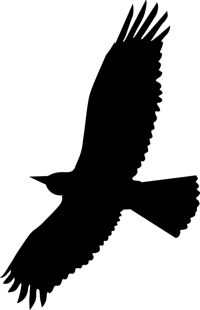 Elegant Bird Silhouette Soaring on Transparent Background