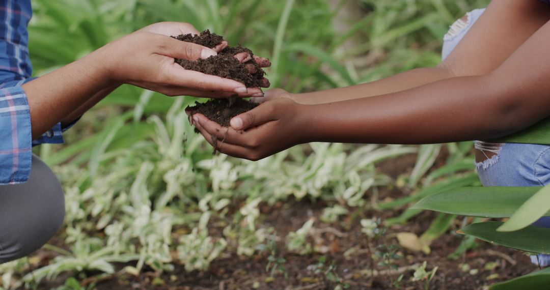 Hands Holding Soil in Garden Showing Connection to Nature - Free Images, Stock Photos and Pictures on Pikwizard.com