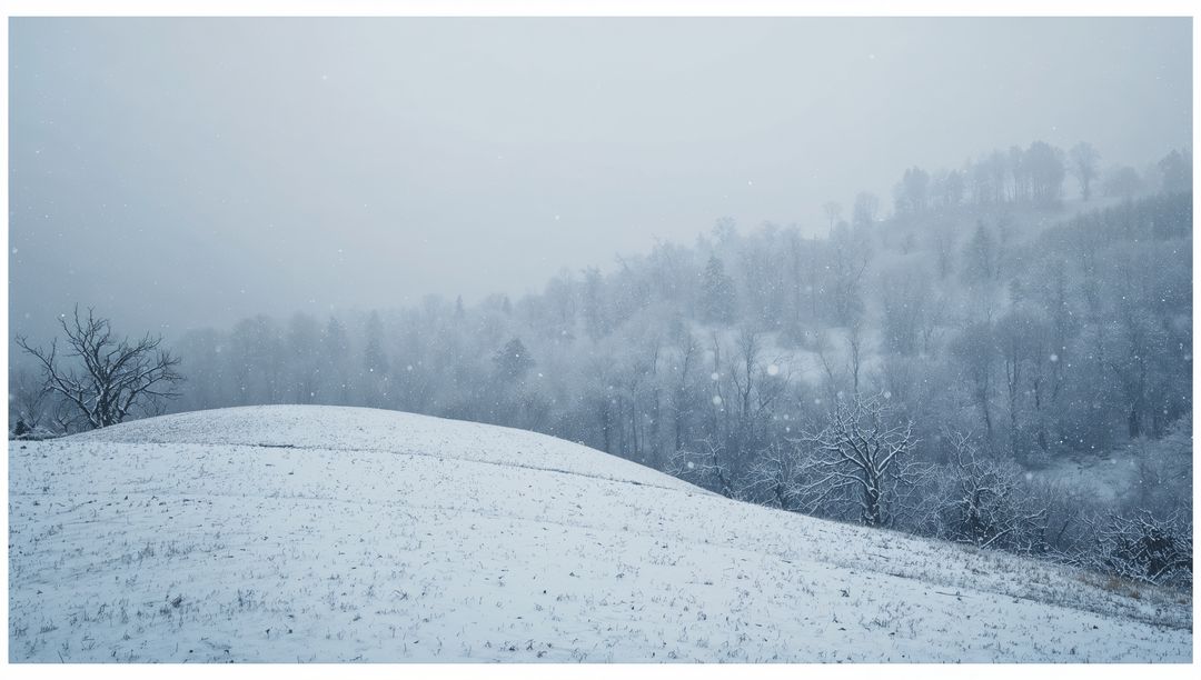 Falling snow on rolling hill and misty hillside forest with bare trees, overcast winter