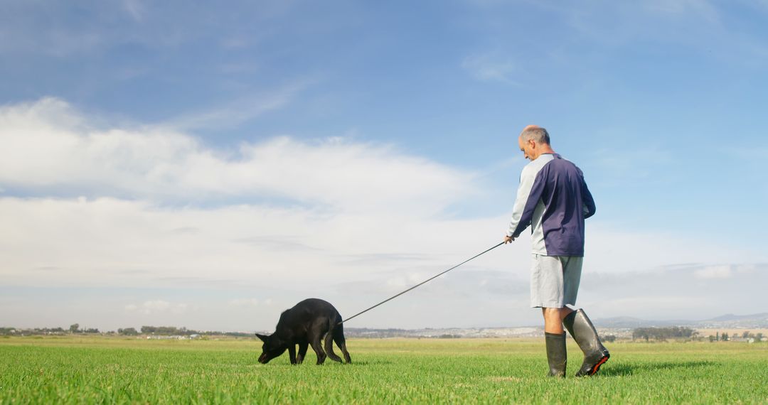 Senior Man Walking Black Dog in Vast Green Field on Sunny Day - Free Images, Stock Photos and Pictures on Pikwizard.com