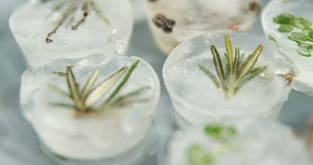 Herb Infused Ice Cubes for Refreshing Beverages