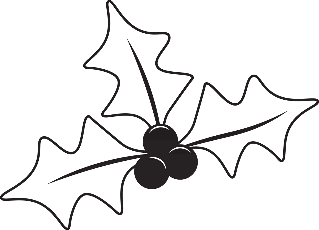 Minimalist Holly Leaf Illustration on Transparent Background