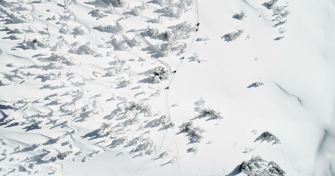 Winter landscape aerial view with snowy trees and ski tracks - Free Images, Stock Photos and Pictures on Pikwizard.com