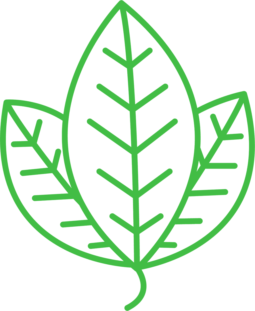 Green Leaves Vector Icon on Transparent Background