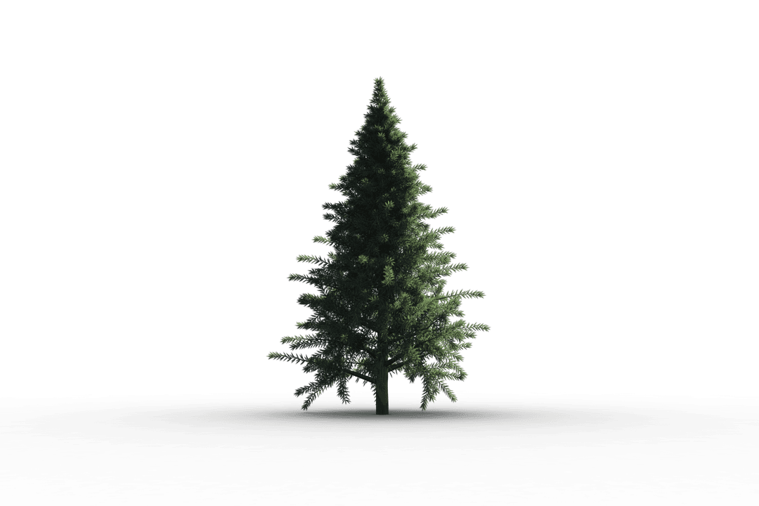 Realistic Transparent Christmas Tree Illustration PNG Format