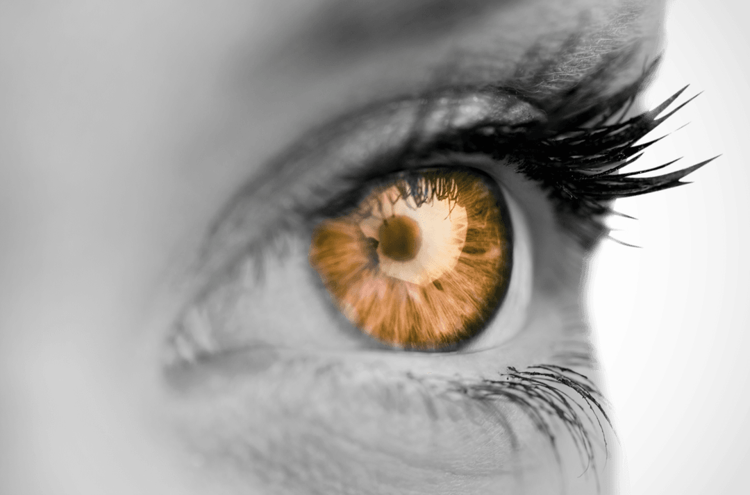 Macro View of Woman's Amber Eye on Transparent Background